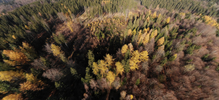 Screenshot of the Marzipano 360 tour tool